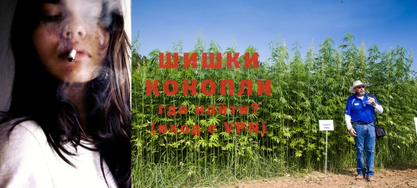 mix Богородск