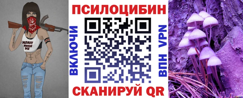 закладка  Дятьково  Псилоцибиновые грибы Cubensis 