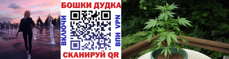 Каннабис марихуана  сколько стоит  hydra онион  Дятьково 